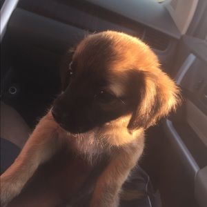 Meet your Posher, Willy